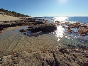 Punta paloma Valdevaqueros alojamiento